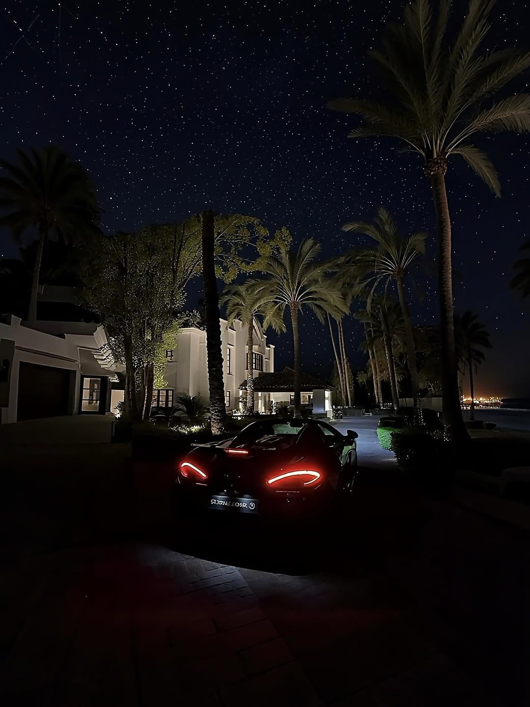 Dark supercar arriving beneath palm trees and a night sky